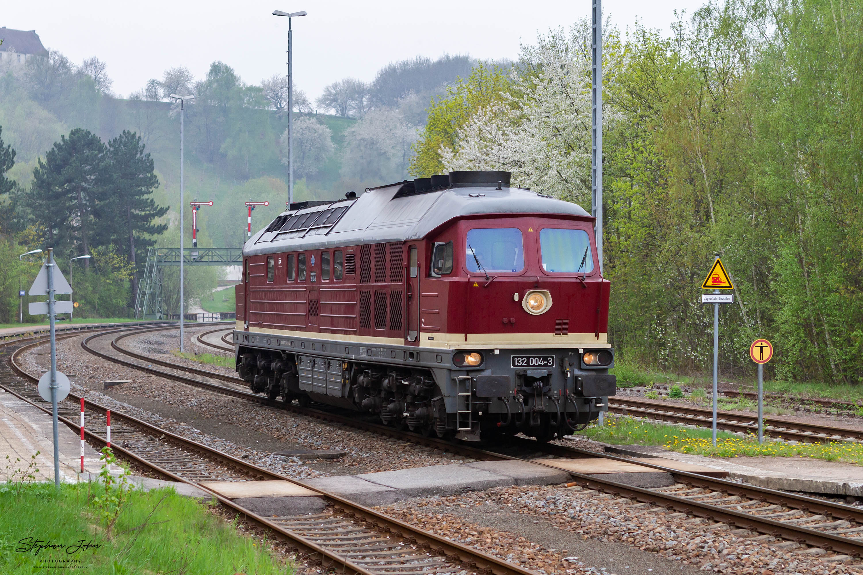 <p>Lok 132 004-4 (Spitzname der Baureihe ist Ludmilla) in Roßwein</p>