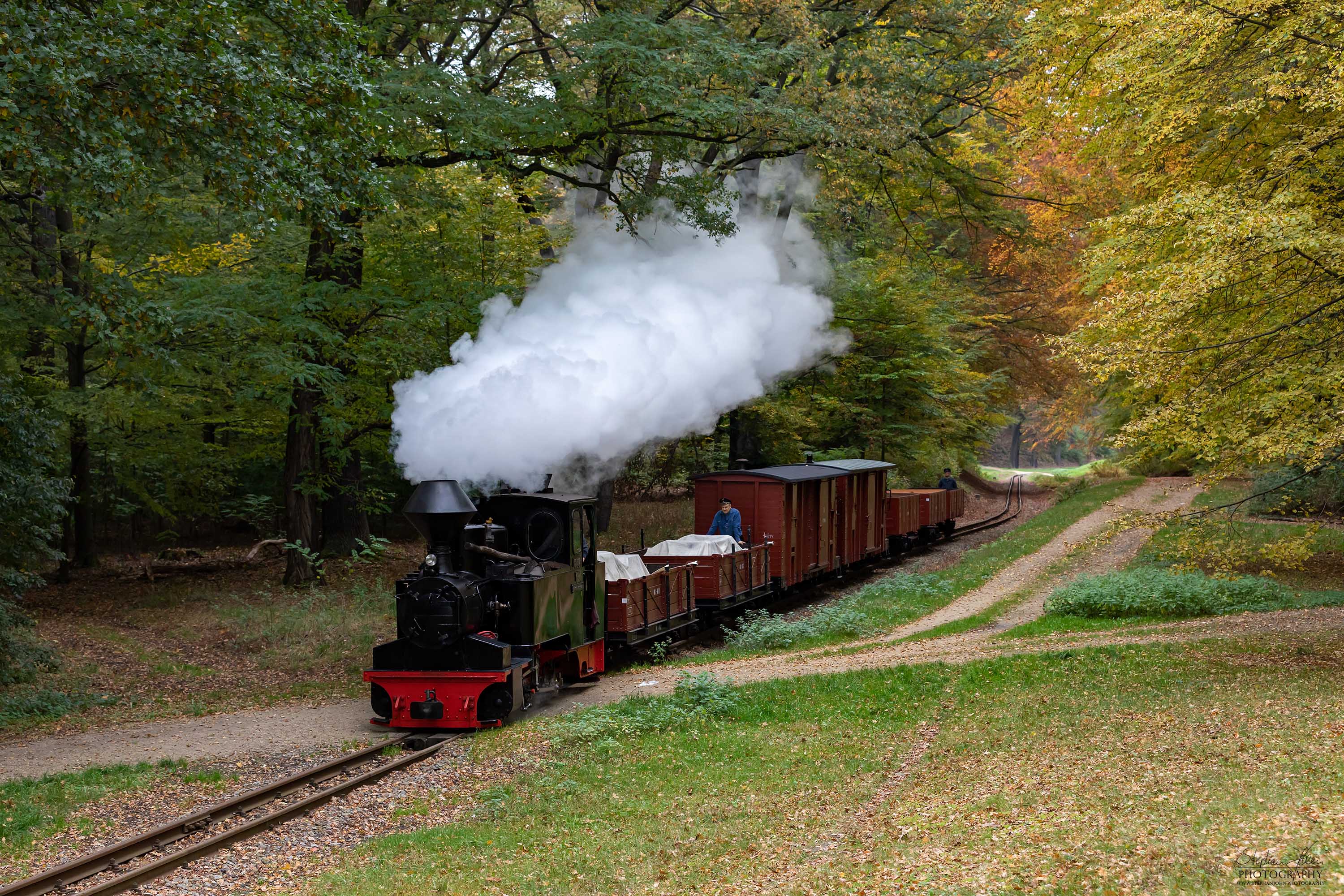 Lok 99 3312-8 DIANA mit einem Güterzug von Bad Muskau in Richtung Weißwasser dampft durch den bunten Herbstwald