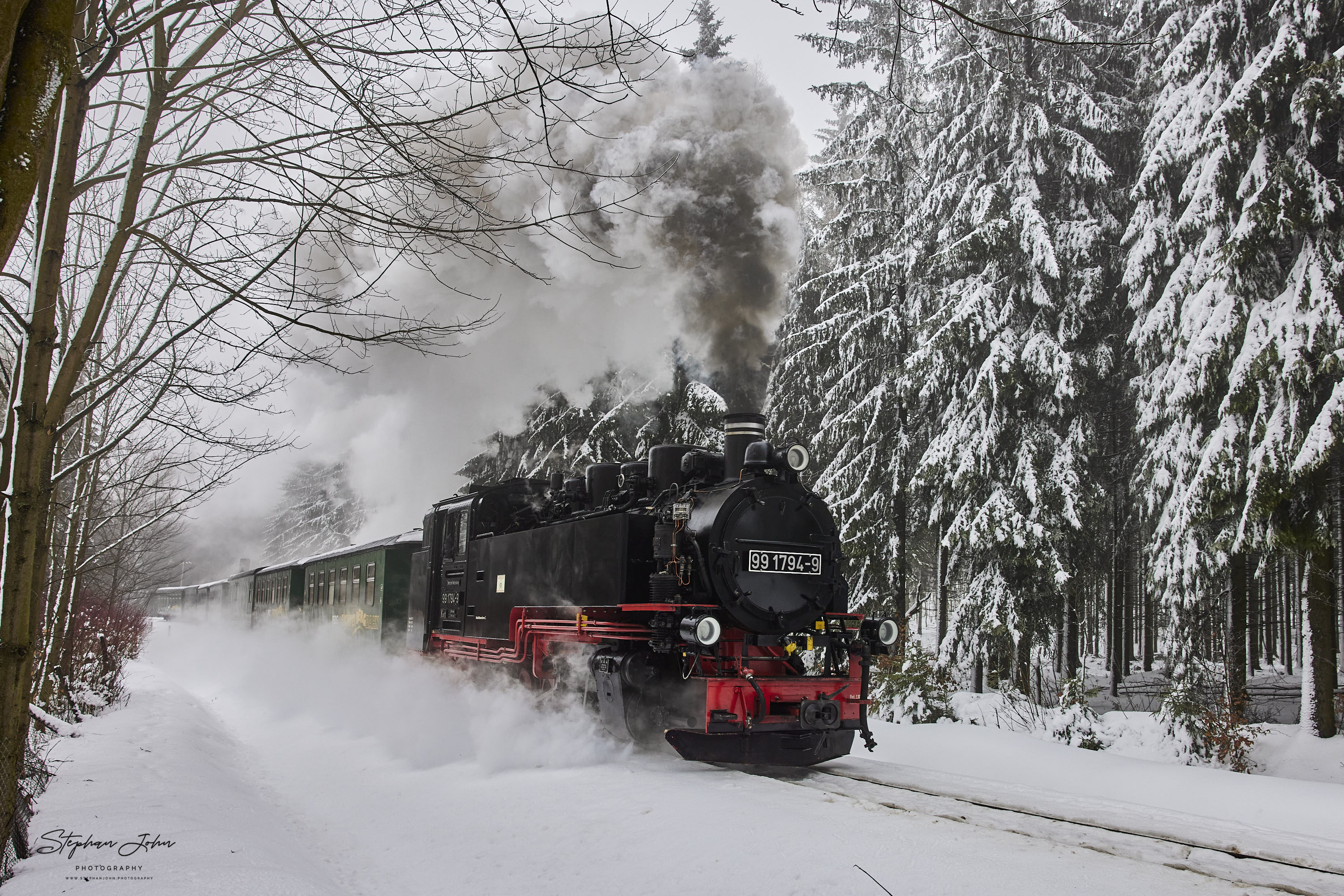 Zug 1001 mit Lok 99 1794-9 dampft durch die verschneiten Wälder in Richtung Oberwiesenthal. Hier kämpft sich der Zug die Steigung zwischen Kretscham-Rothensehma und Niederschlag hoch.