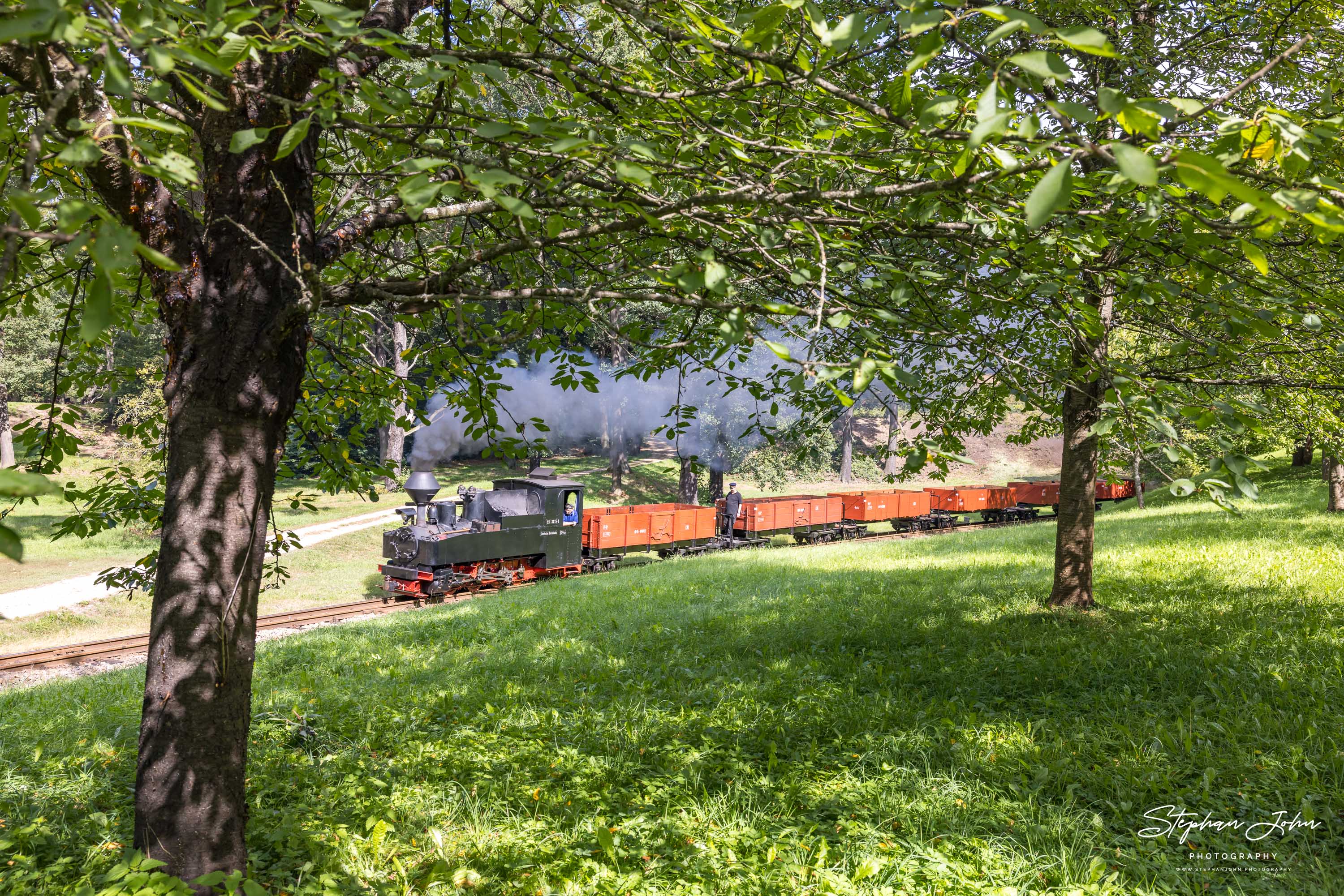 Lok 99 3315 hat mit einem Güterzug den Bahnhof Bad Muskau verlassen und dampft in Richtung Weißwasser