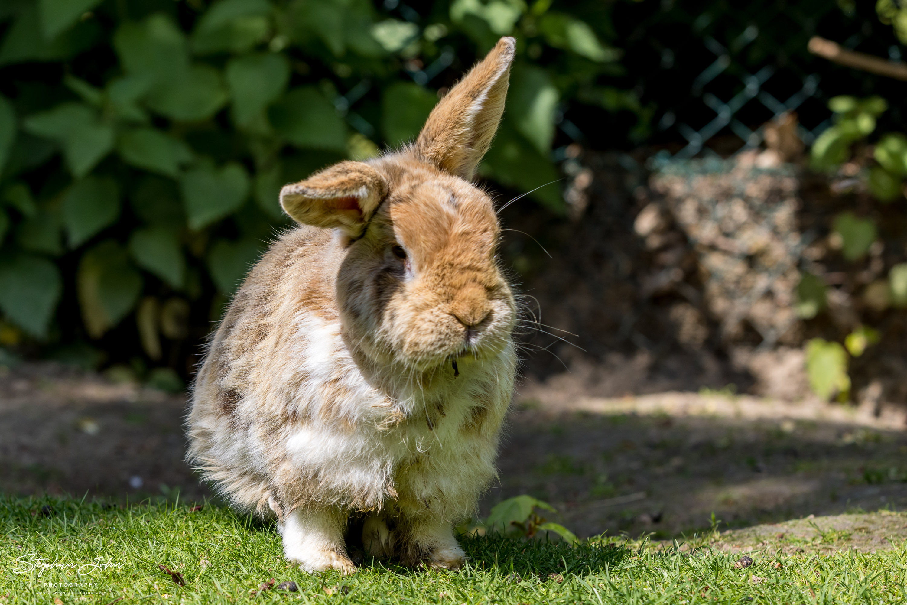 Vogelpark Marlow