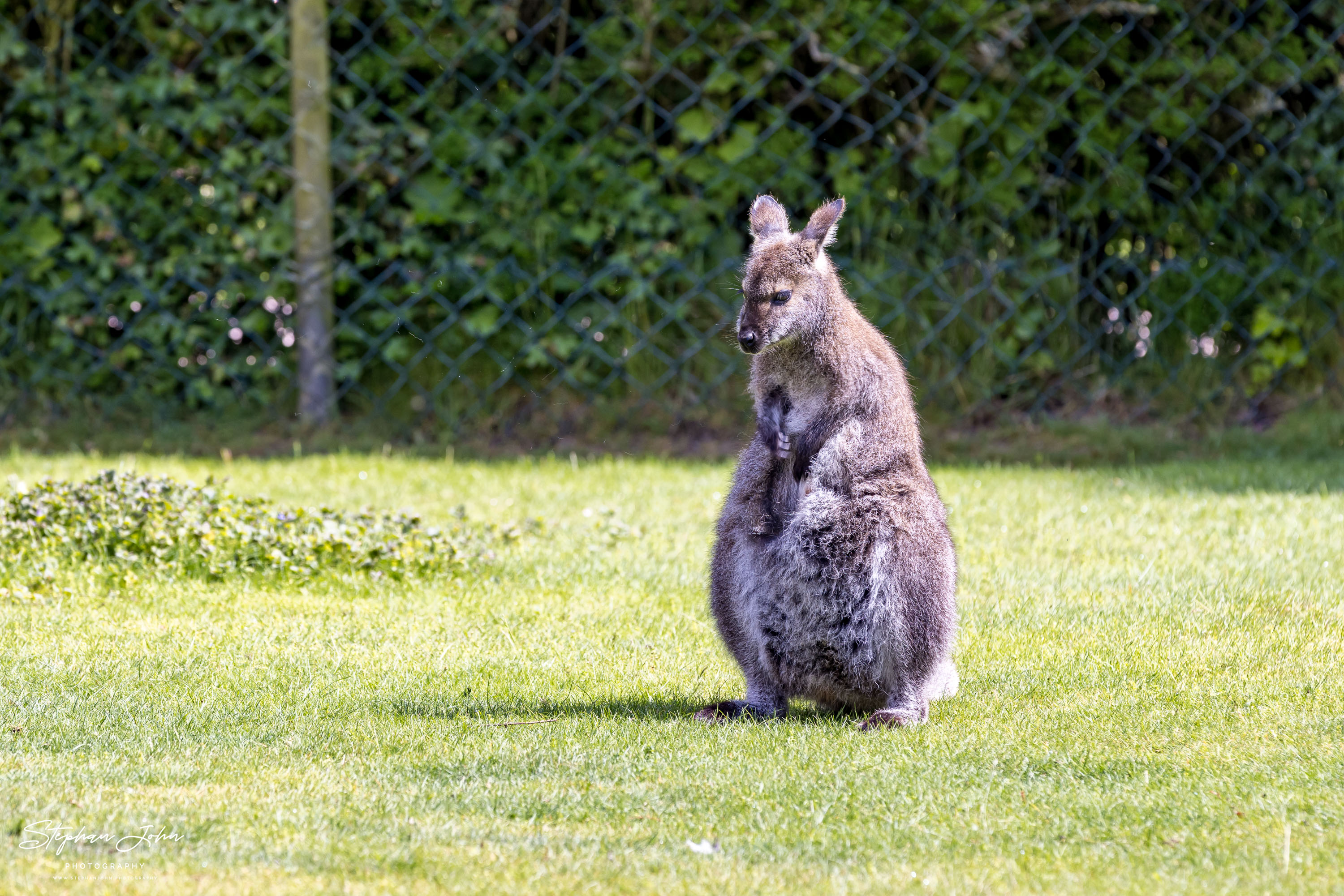 Vogelpark Marlow