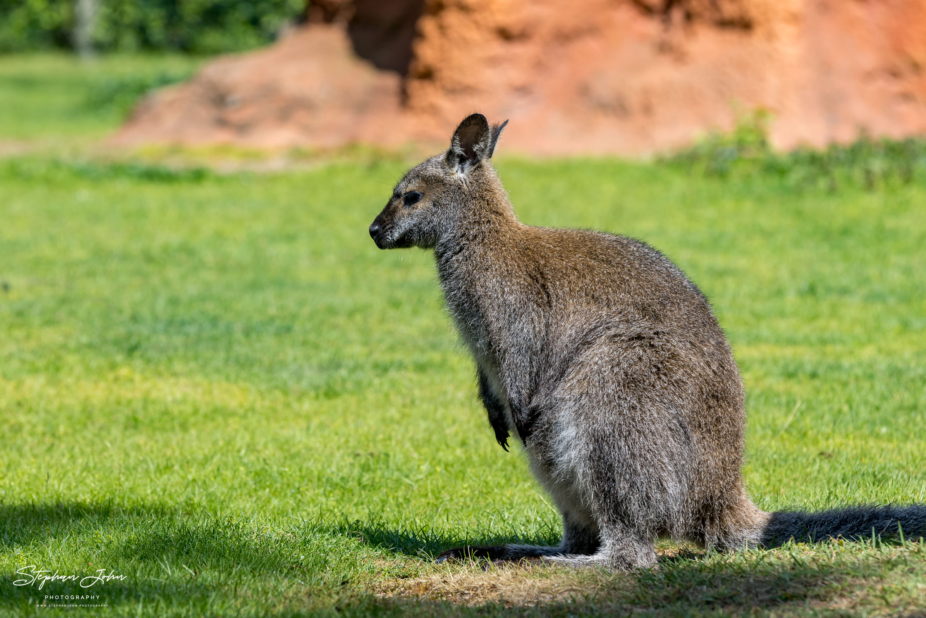 Vogelpark Marlow