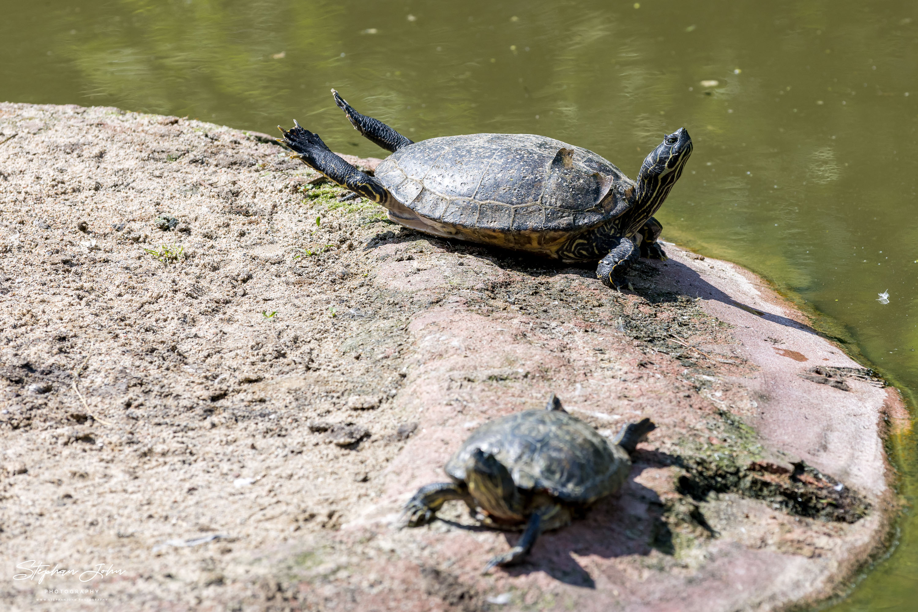 Vogelpark Marlow