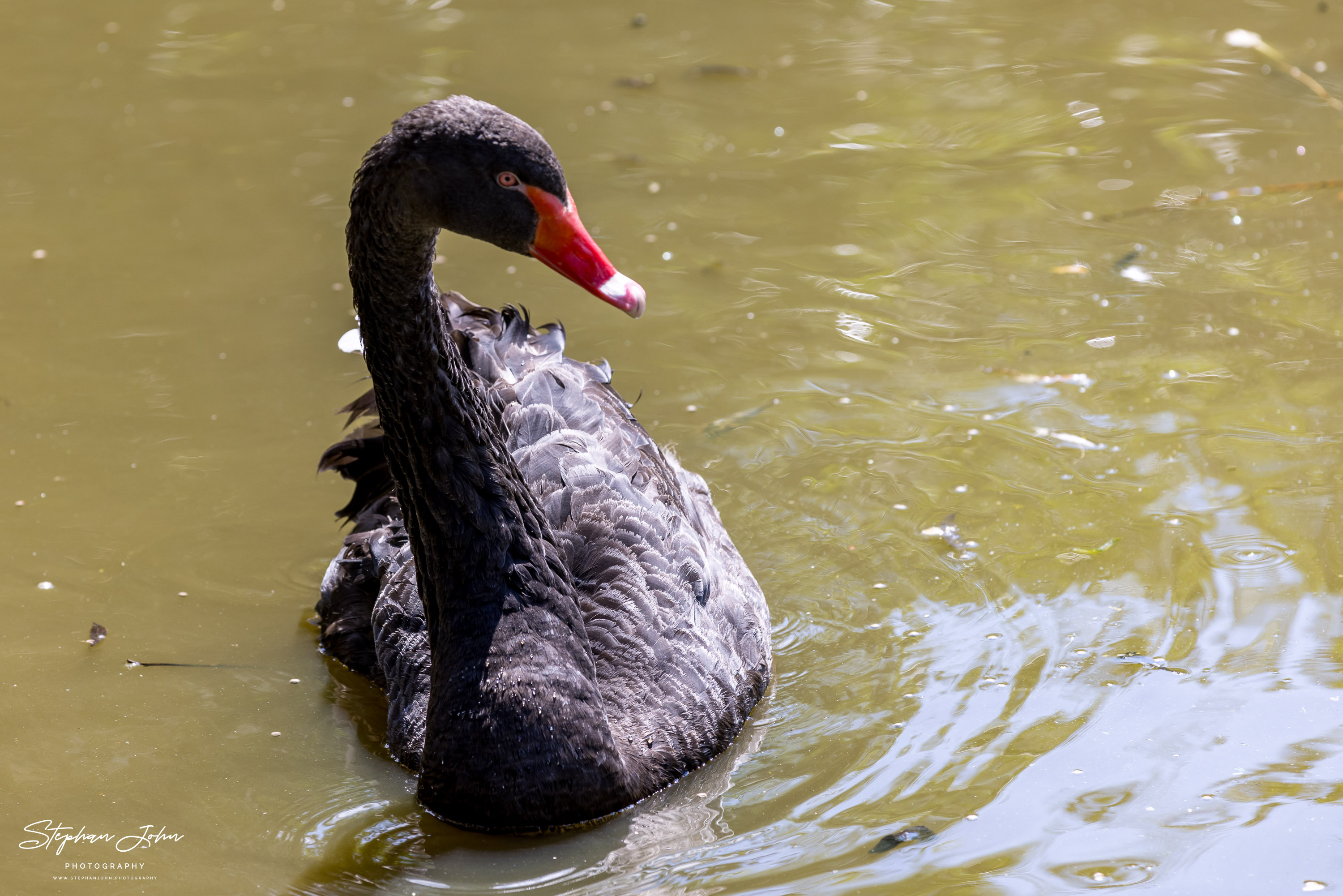 Vogelpark Marlow