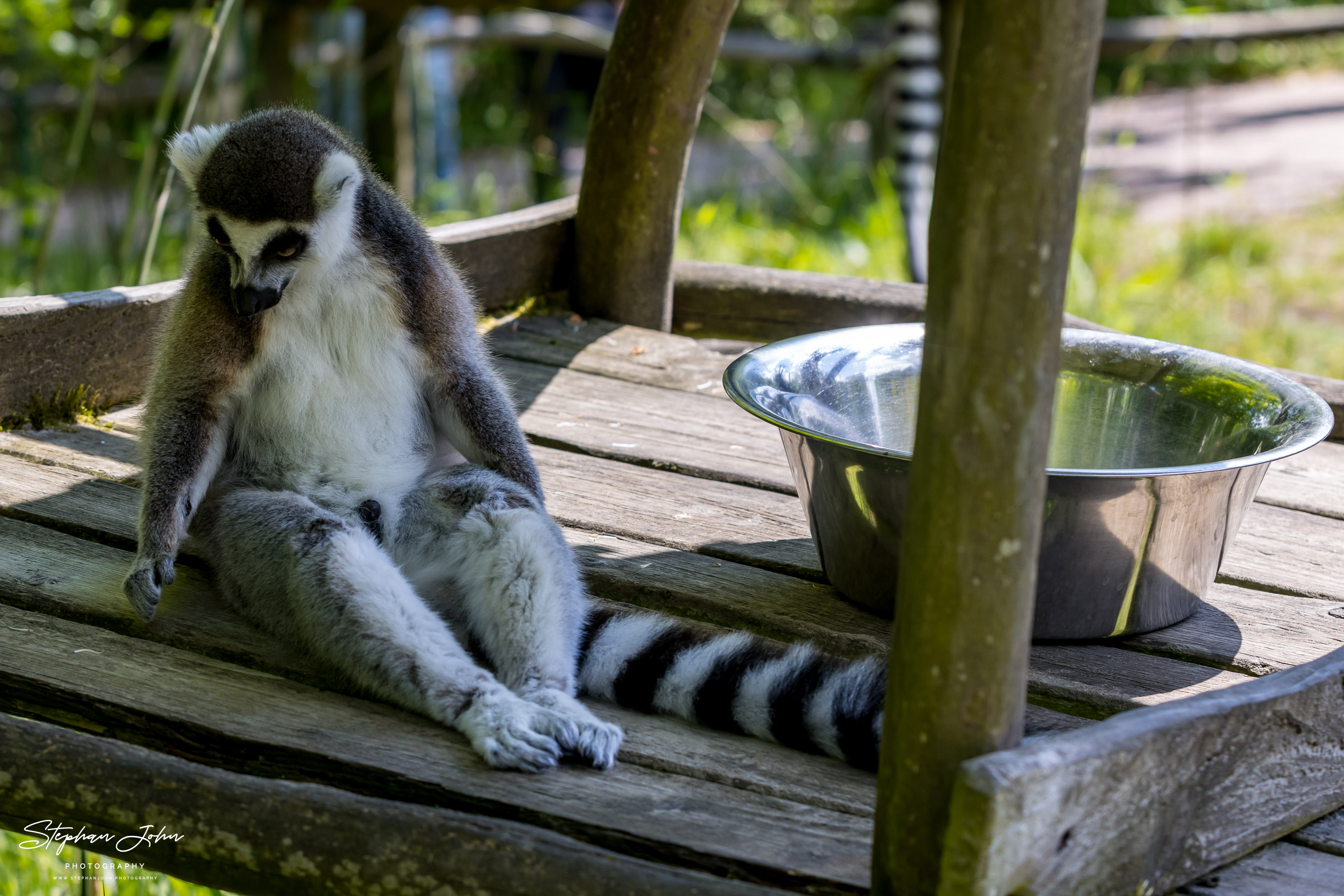 Vogelpark Marlow