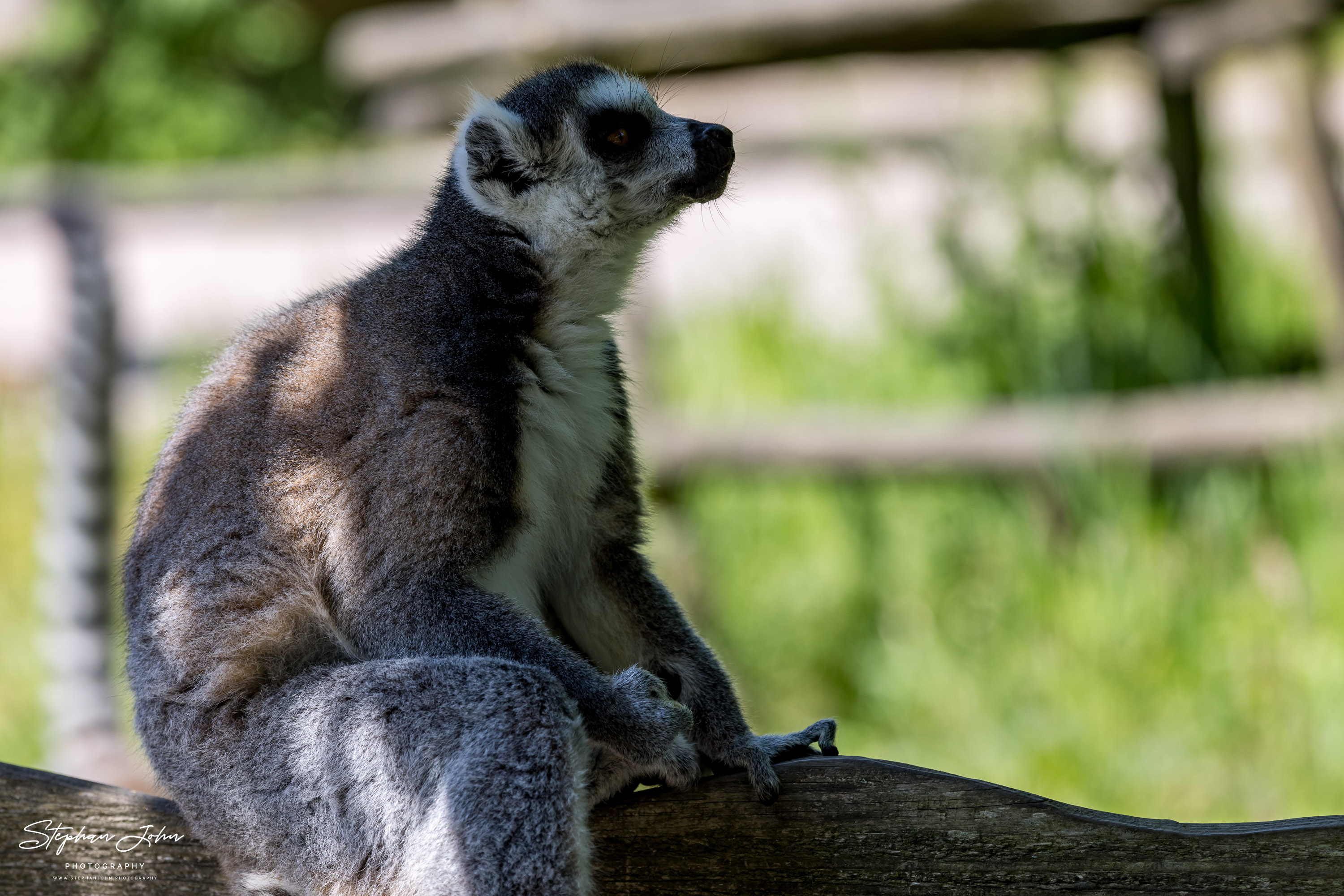 Vogelpark Marlow