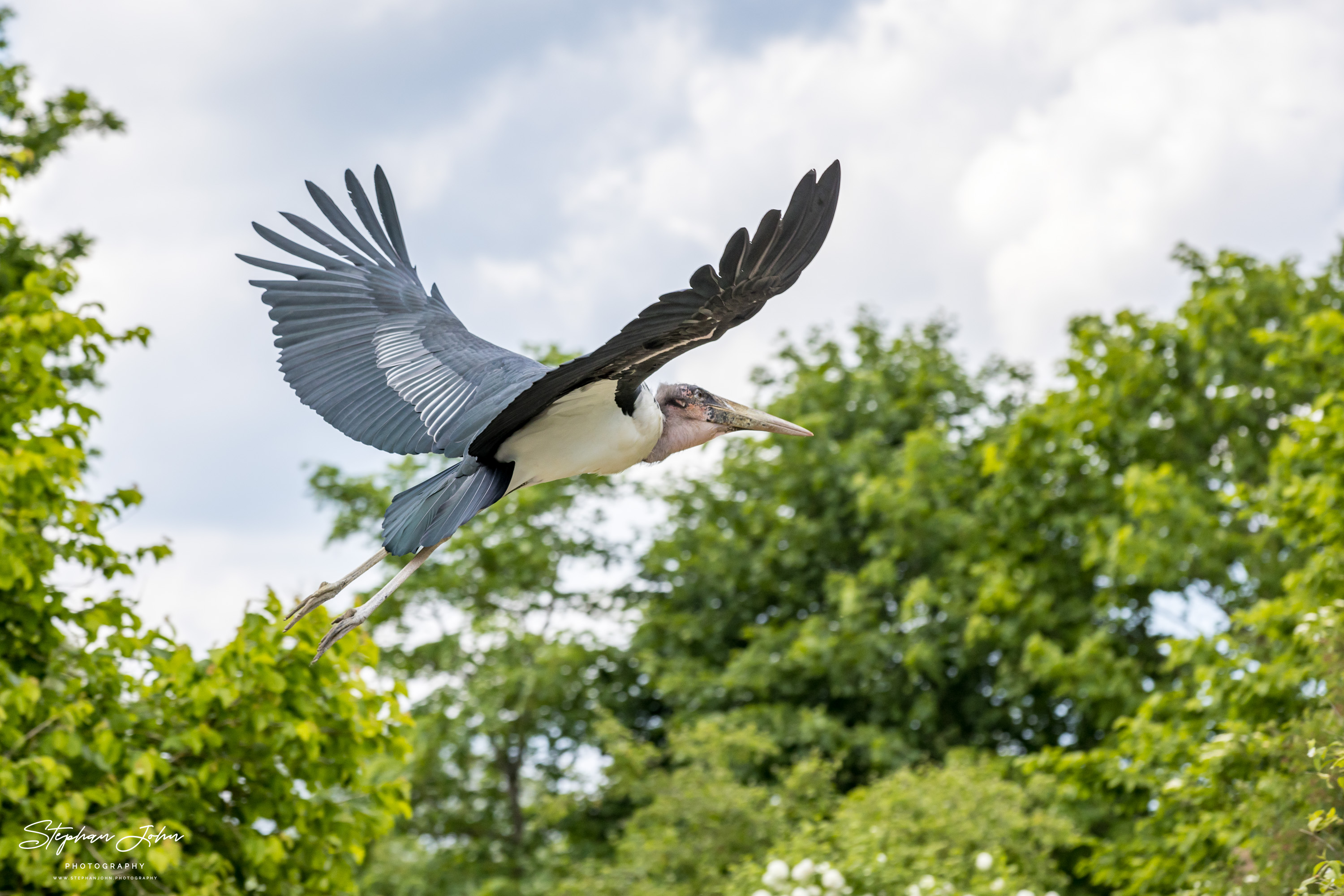 Vogelpark Marlow