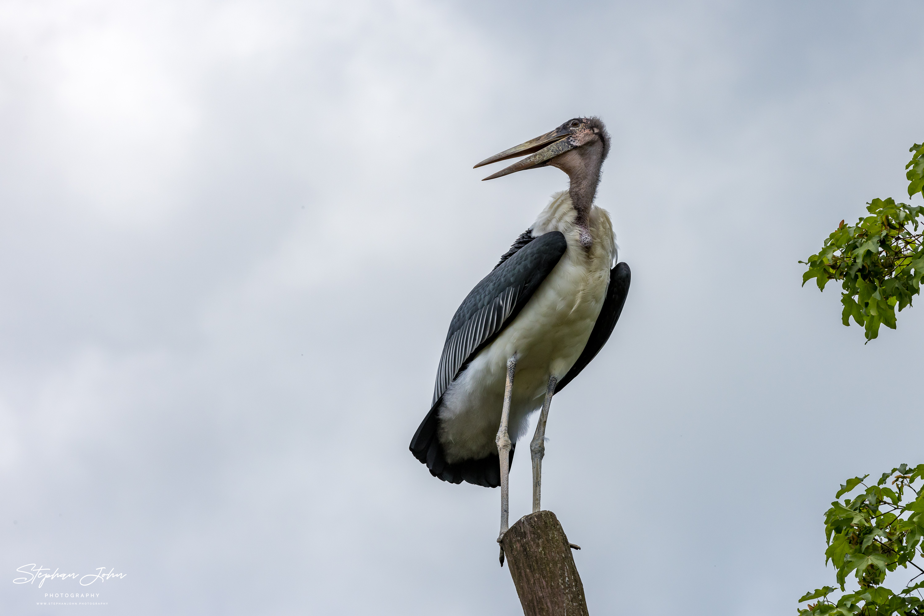 Vogelpark Marlow