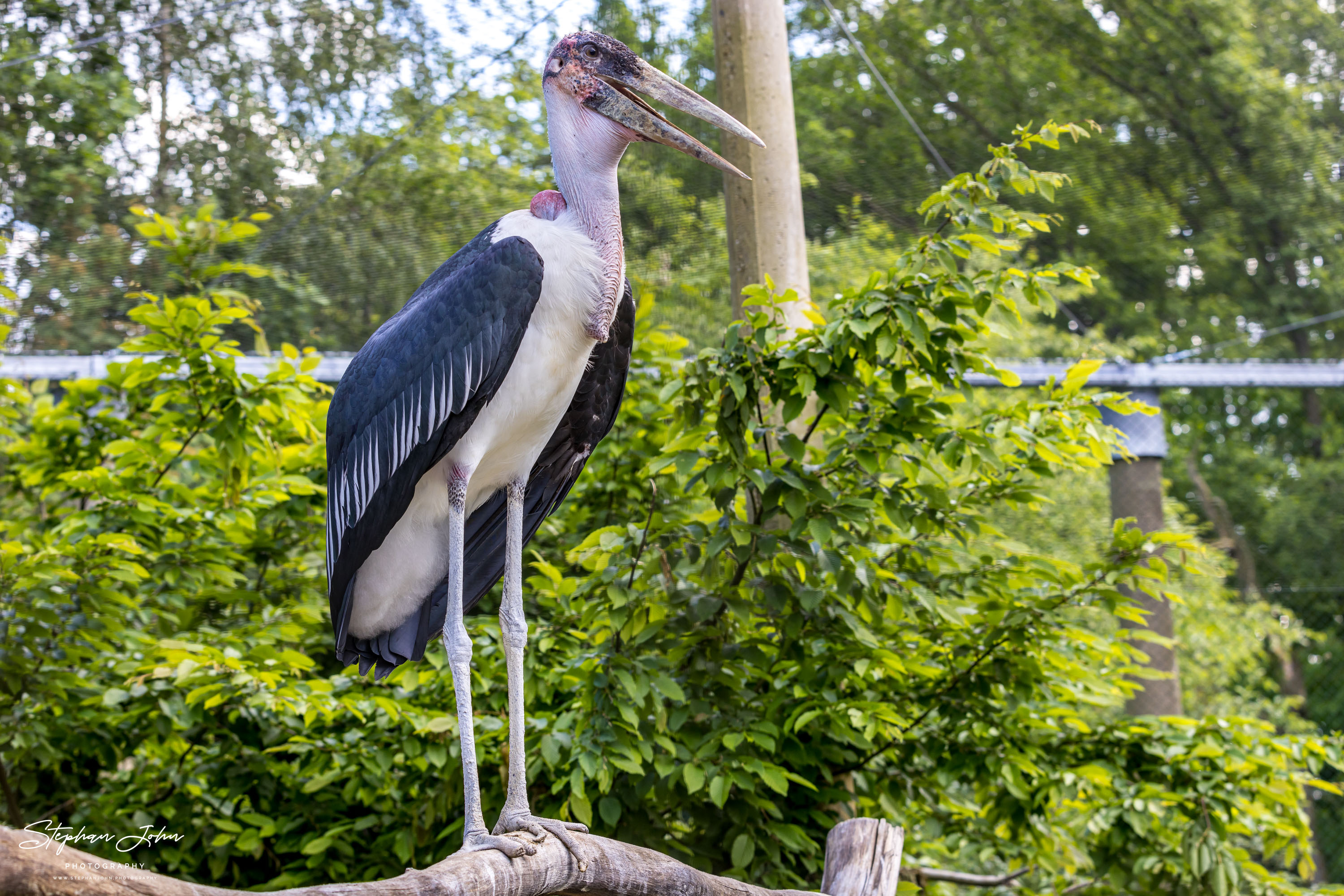 Vogelpark Marlow