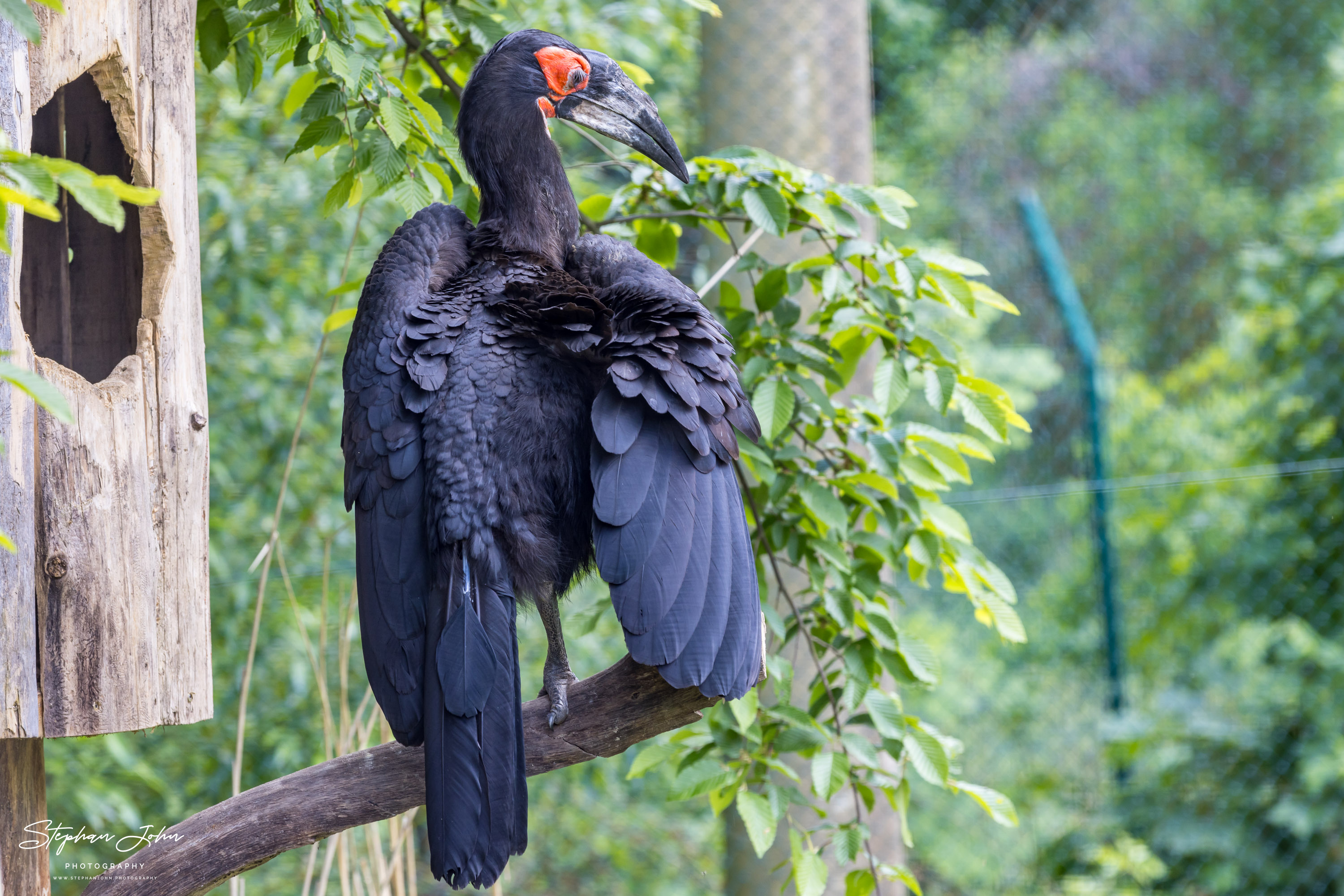 Vogelpark Marlow