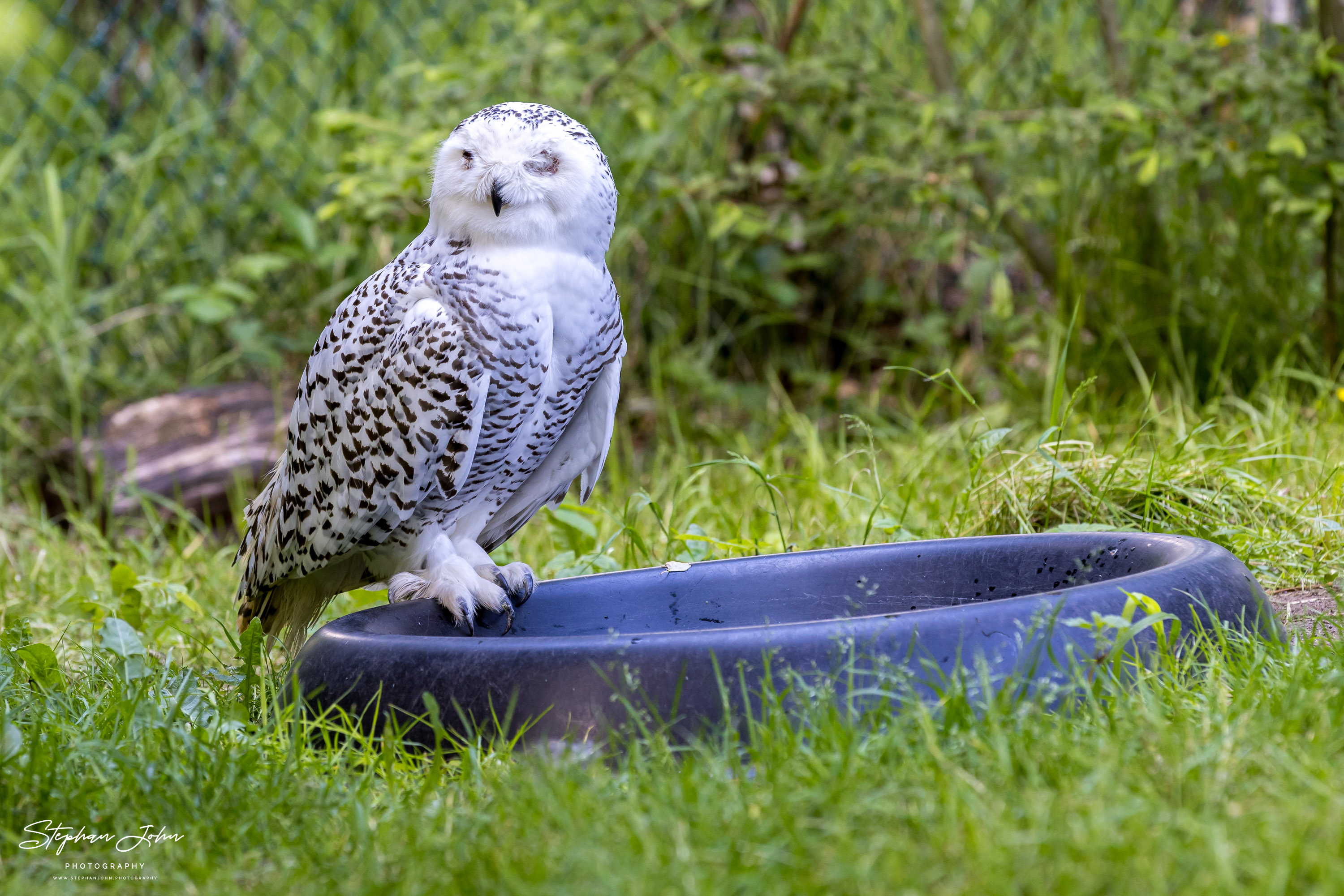 Vogelpark Marlow