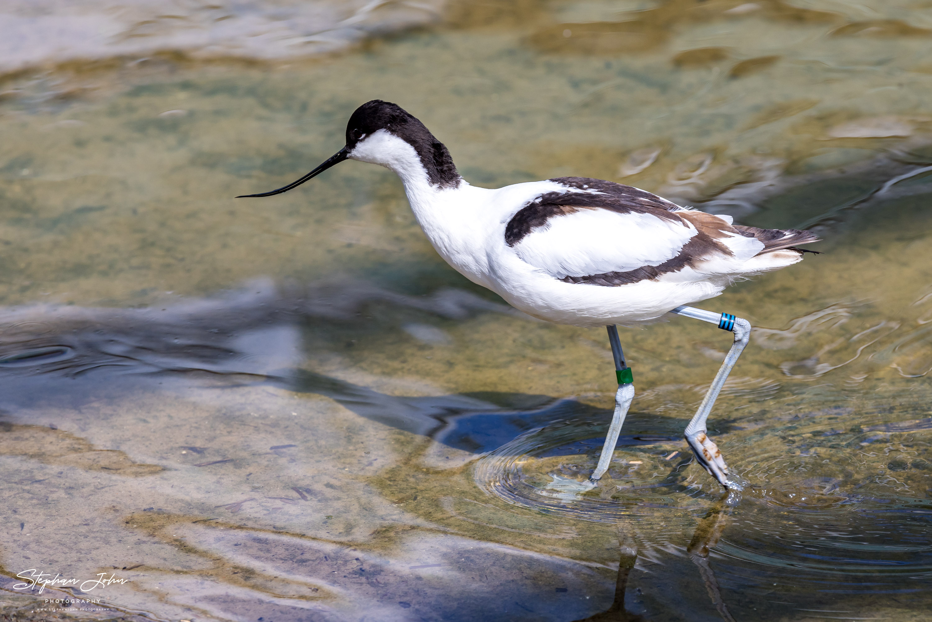 Vogelpark Marlow