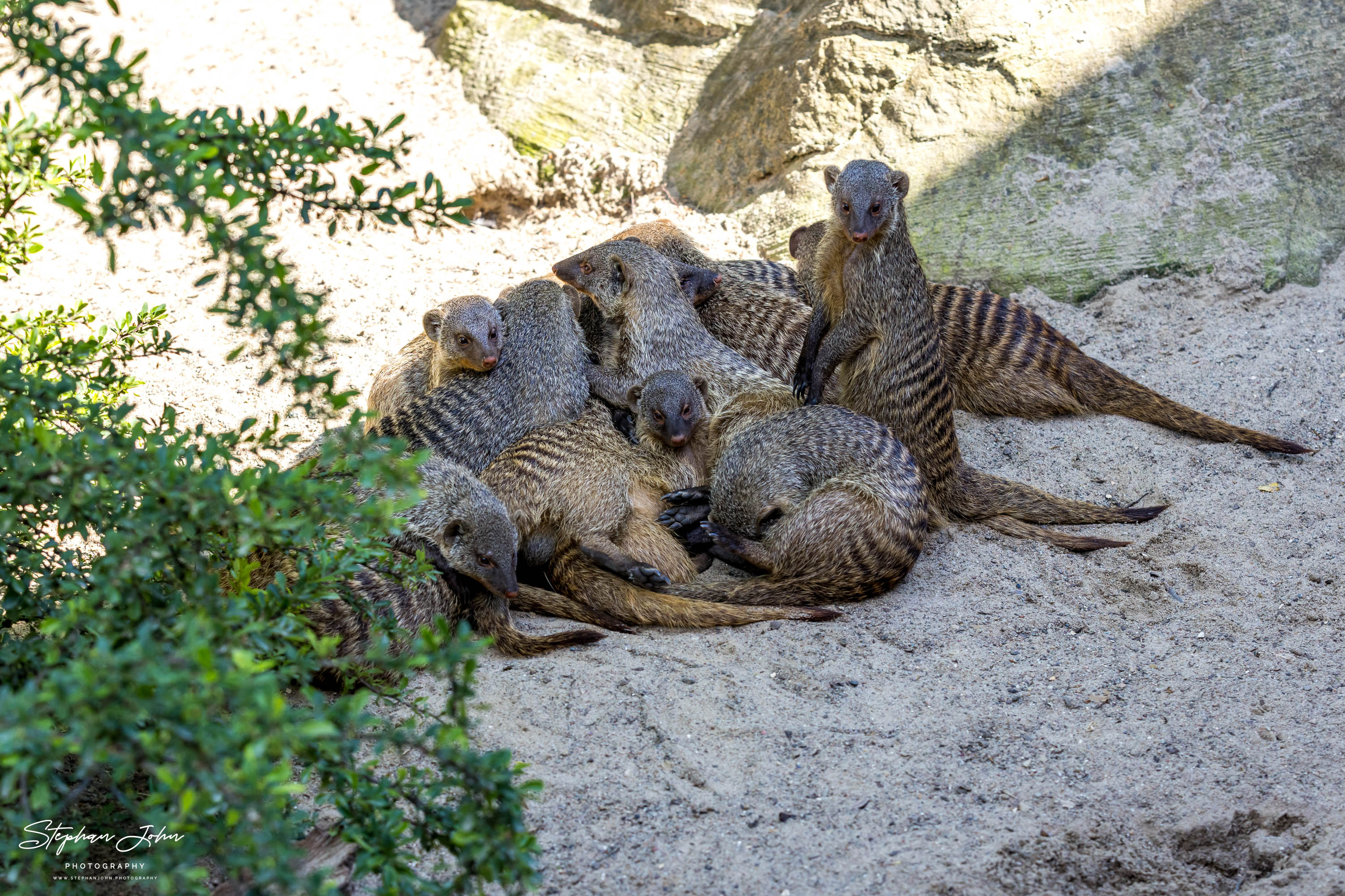 Vogelpark Marlow