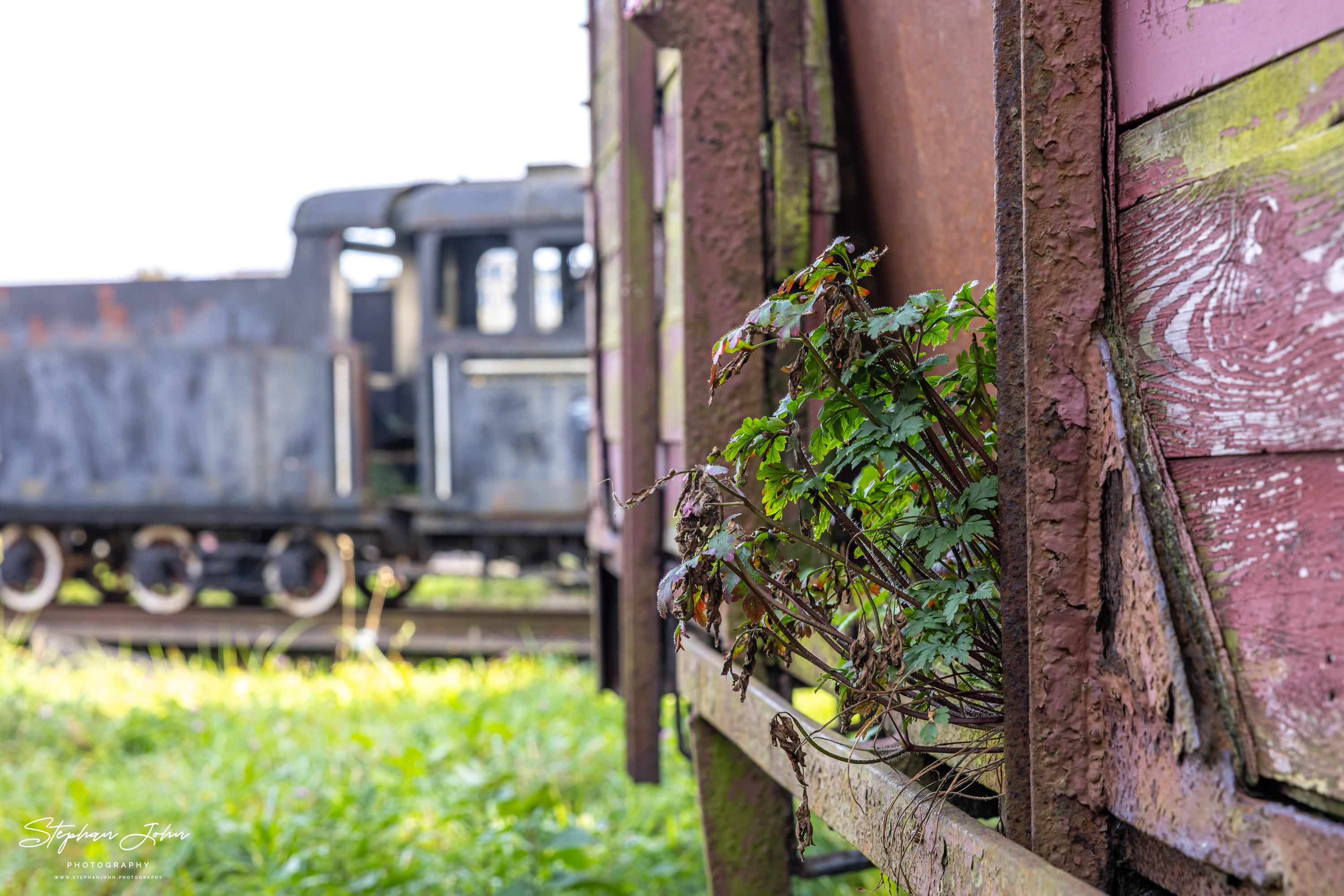 Abgestellte Loks im Bw der Schmalspurbahn Köslin. Ob diese jemals aufgearbeitet werden?