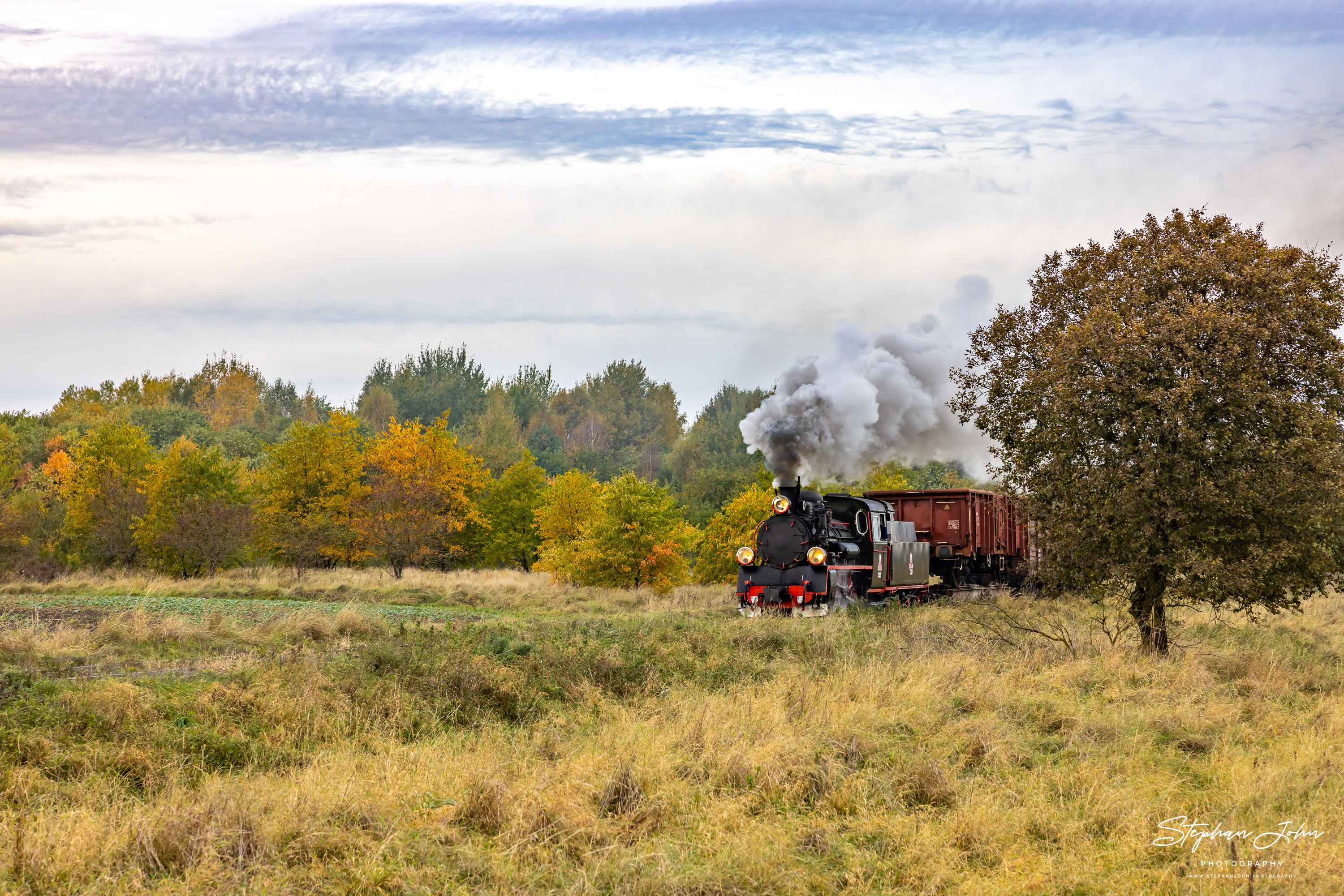 Güterzüge auf der Schmalspurbahn Köslin (Koszalin) - Roßnow (Rosnowo) mit Lok Px48 3901