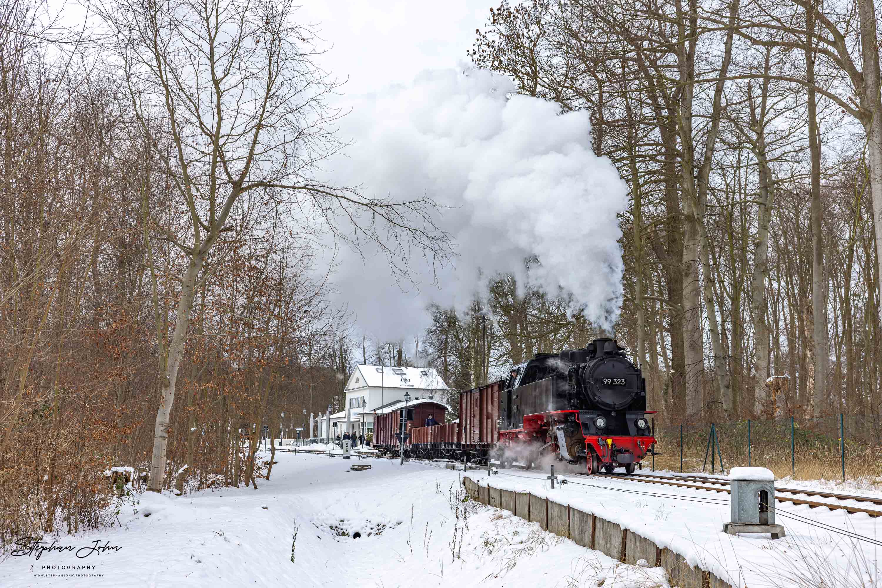 Lok 99 323 fahrt mit einem Güterzug aus dem Bahnhof Heiligendamm in Richtung Bad Doberan aus