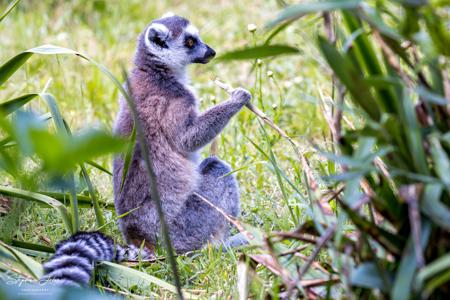 Vogelpark Marlow