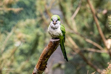 Vogelpark Marlow