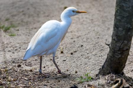 Vogelpark Marlow