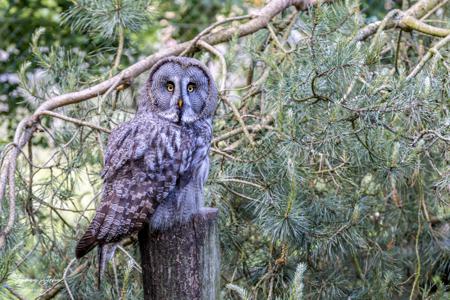 Vogelpark Marlow