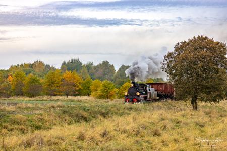 Schmalspurbahn Köslin