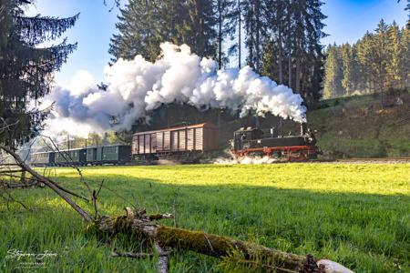 GmP auf der Preßnitztalbahn