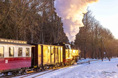 Winterdampf beim Molli