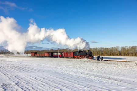 Winterdampf beim Molli