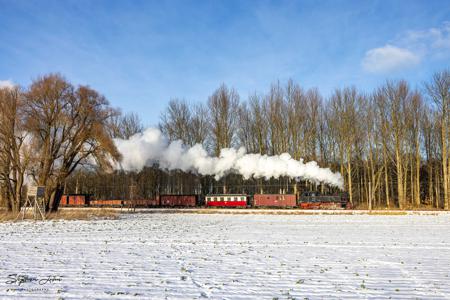 Winterdampf beim Molli