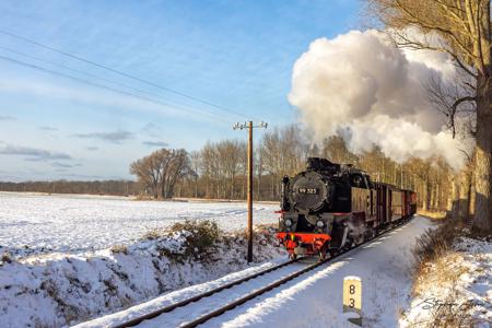 Winterdampf beim Molli