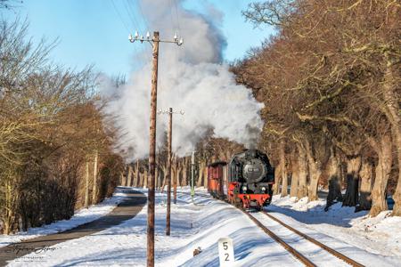 Winterdampf beim Molli